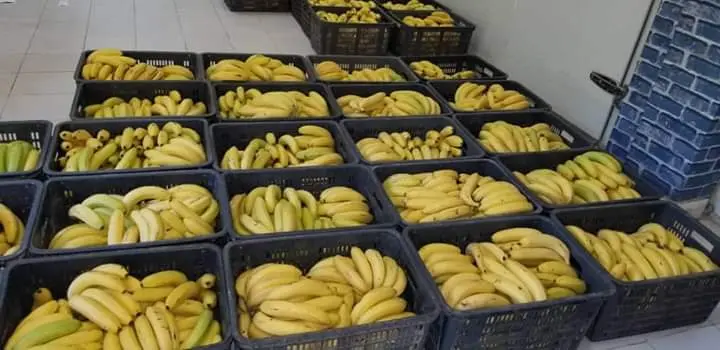 WhatsApp Image 2024-04-17 at 11.58.35 AM (1).webp